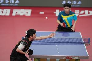 卫冕or新人夺冠？樊振东对林诗栋战绩12胜2负，曾取得8连胜