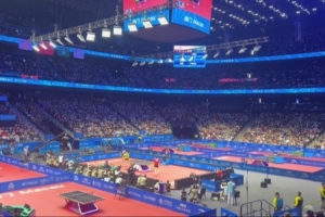 赵子豪晒全场球迷高呼樊振东视频：祝贺上海队祝贺胖