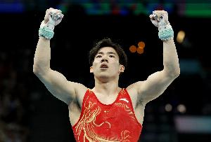 张博恒14.860分夺得全运会男子单杠冠军，鹤翔亚军、肖若腾季军
