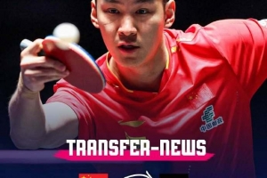 官方：中国球员薛飞加盟德甲巴特柯尼希斯霍芬乒乓球俱乐部