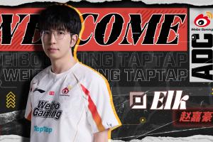 WBG官方：前BLG下路Elk加入队伍