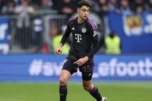 埃贝尔：帕夫洛维奇似乎是肌肉拉伤，希望他问题不大但我没法诊断