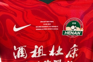 博主晒河南队足协杯决赛球衣：印制有对阵信息和大象图腾