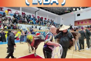 兄弟们，又又又拿冠军了！