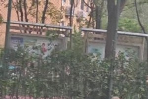 东契奇：詹哥我发毒誓我绝对没有打假球！