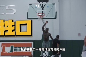 预计战绩77胜5负！CC评历史最强阵容：库乔科詹鲨！