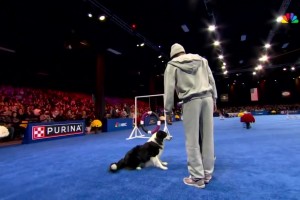 还有这种才艺？马克西受邀参加训狗竞赛！小狗好像不太配合啊